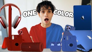 BUYING Everything in ONE COLOR for 24 HOURS! (Red Vs Blue)