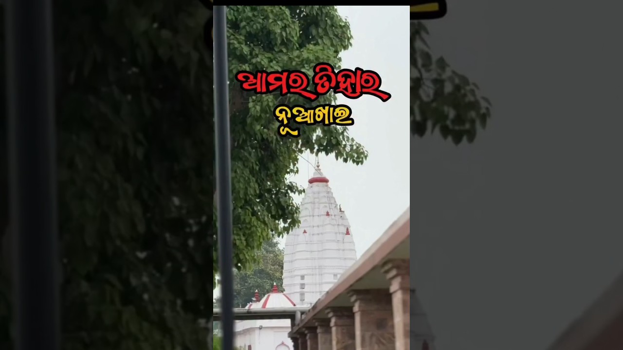 🌾 Nuakhai Festival 2025 | Sambalpuri Nuakhai Juhar | Odisha Harvest Celebration 🌾