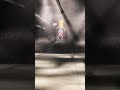 HK MP5 zombie target .22