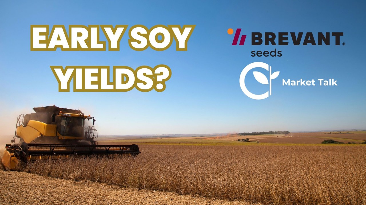 Iowa Harvest Almost Didn't Start. Then Yields Came In.
