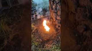 Burn testing a modified white star #6 formula