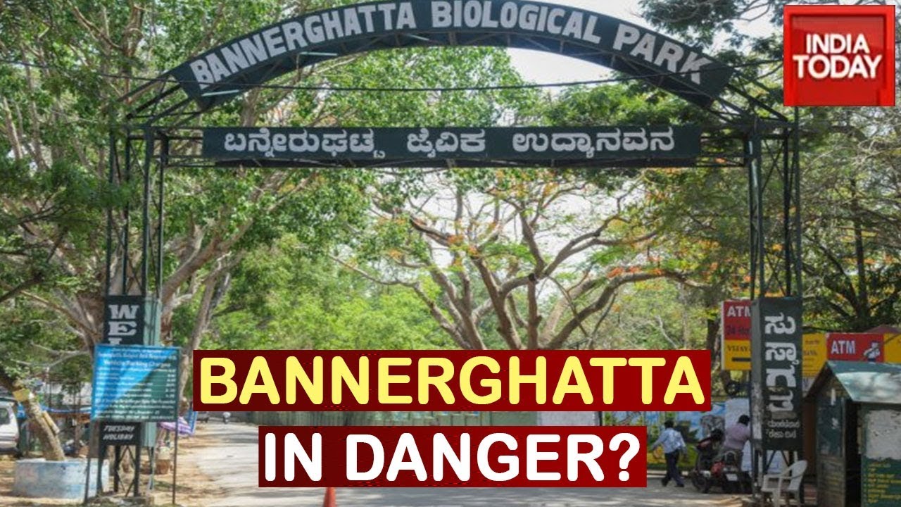 CM Yediyurappa Seeks Permission From Centre To Reduce Bannerghatta Buffer Zone