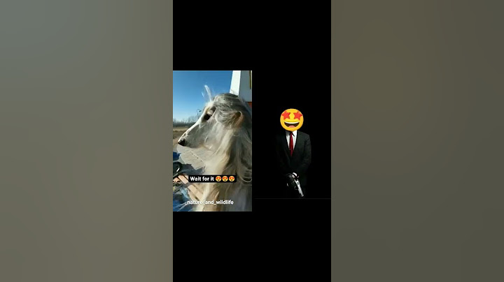 Mere Saath hi aisa kyun hota hai || Annoyed Plom 😑 || #shorts