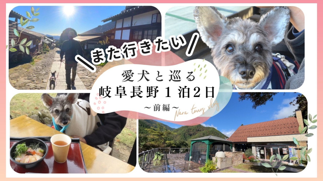 【犬連れ旅行】岐阜・長野１泊2日｜恵那と馬籠宿を散策する癒し旅｜RVパーク泊