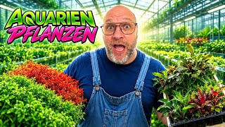 Die WASSERPFLANZENANLAGE erwacht zum LEBEN!  Part 2