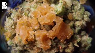 Fl I-95 Crumble Melt From Muv Budsbie Burns Ep.3