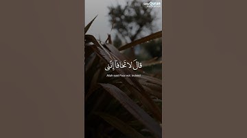 قال لا تخافا إنني معكما أسمع وأرى | سورة طه الآية 46 محمد ديبيروف #قرآن
