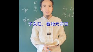 王炳程老师：为什么子女这么旺，看胎元命官，最新八字教学视频