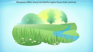 NCERT Class 7 English Honeycomb | Chapter 8: Meadow Surprises