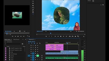 Multimedia-ontwikkeling – Miniproject