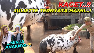 DAPET KABAR TERNYATA JULIETTE LAGI HAMIL..!! RARA&MYA HERRY LANGSUNG KAGET..!!