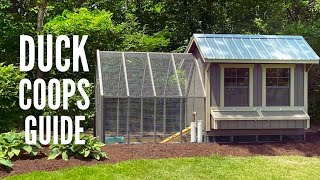 Duck Coops: 15 Tips to Design the Perfect Coop for Your Ducks