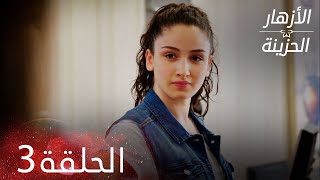 الأزهار الحزينة | الحلقة 3 كاملة   | Kırgın Çiçekler