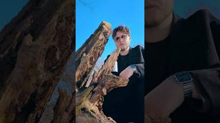 Бро, весна пришла #весна #кофе #блогер #vlog #coffee #travel