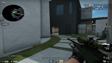 Basalt smoke bug