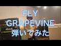 FLY/GRAPEVINE【Guitar Cover】