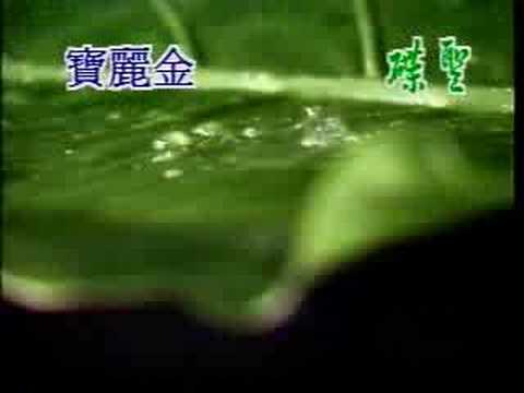 张学友-相思风雨中