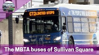 The MBTA Buses of Sullivan Square!