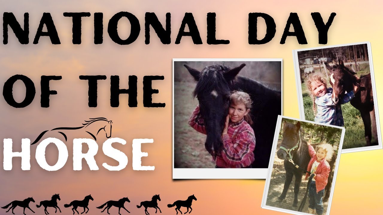 National Day of the Horse YouTube