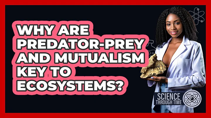 Why Are Predator-prey And Mutualism Key To Ecosystems? - Science Through Time