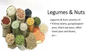 The six food groups | What are food nutrients and why are they important to us? | Gr. 5 PEP Science