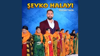 Şevko (Arapça) Resimi