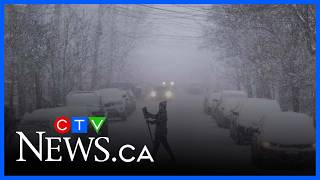 Cleanup underway after snowstorm pummels N.L. with 30 centimetres of snow
