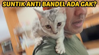 HORE! LILO AKHIRNYA VAKSIN PERTAMA by Kucing Om Wepe 35,835 views 1 year ago 19 minutes