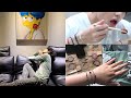 [UNBOXING] CCNMADE Bracelets | DOSSY Elephant Pajama set (Matching with Taetae 💜)