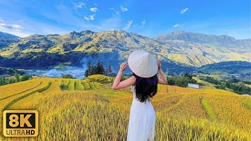 Lô Lô Chải - Ngôi Làng Cổ Tích Đẹp Nhất Hà Giang | Nơi Chữa Lành Tâm Hồn | Phượt Hà Giang 2023