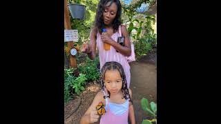 Butterfly 🦋 Farm Tour - Maui 2021