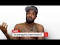 UFC&#39;s Bobby Green Takes on No MMA Questions!