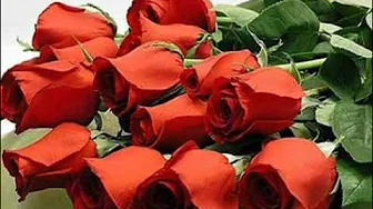 Ирина Аллегрова "День рождения".wmv