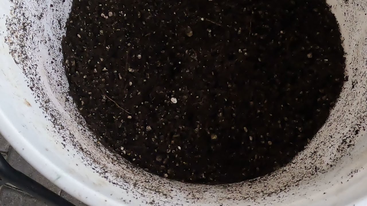 DIY- How To Make Your Own Potting Mix At Home - YouTube