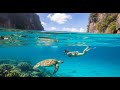 Deep Lounge Society 🌙 Elegant Deep House for Late Night City