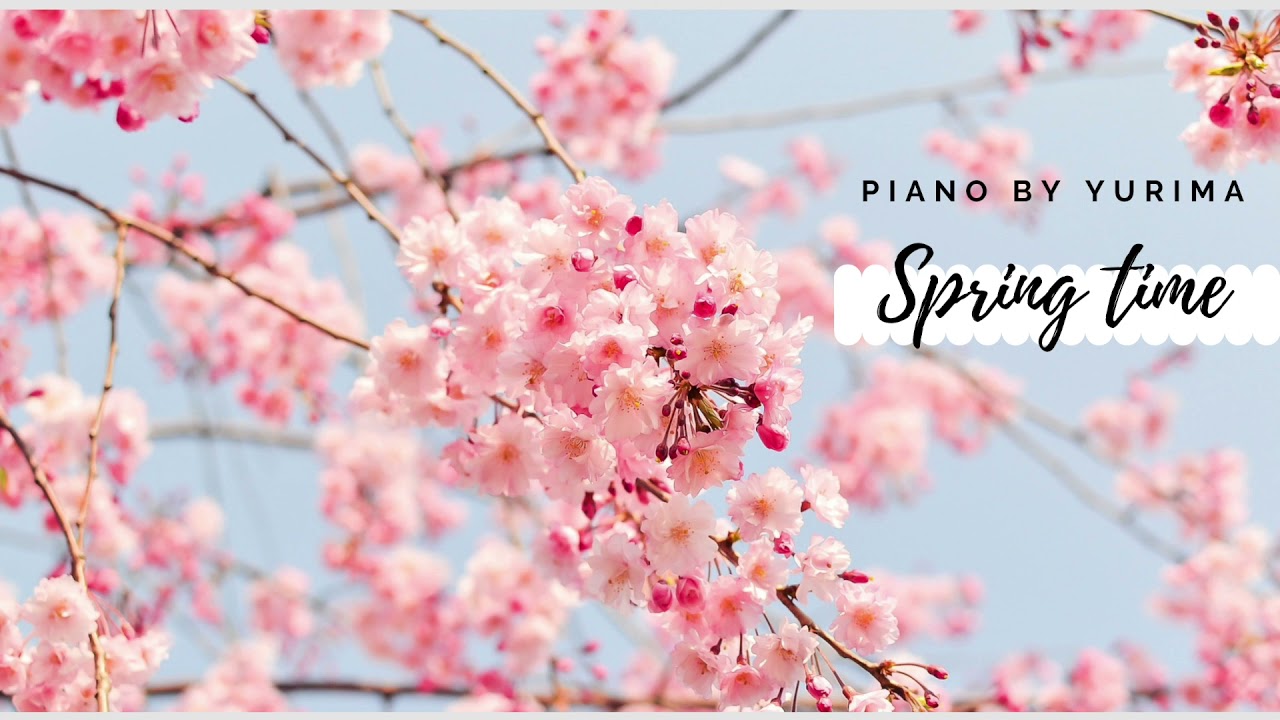 Springtime Street \u0026 Smooth Spring Jazz Music at Outdoor Coffee Shop Ambience for Relax, Good Mood