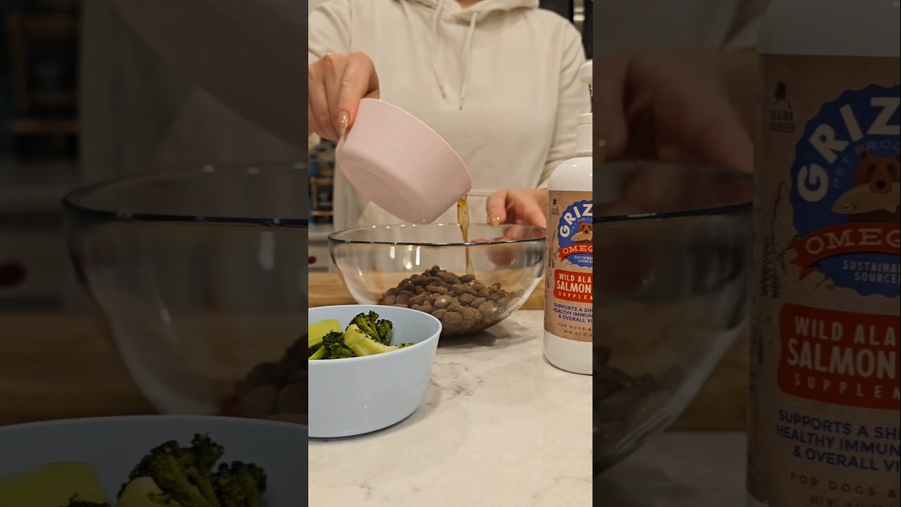 Healthy Doberman Dinners🥦 