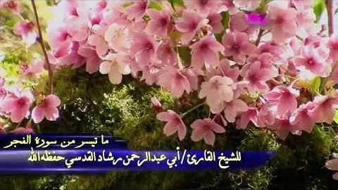 تلاوة باكية  وخاشعة للشيخ القارئ || رشاد القدسي حفظه الله