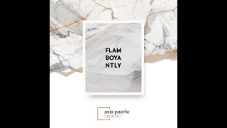 60X120 Porcelain Tiles Carving Finish Nover White