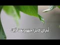 القارئ محمد شيحات سورة المائدة الآية 32 34