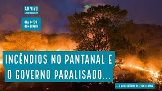 Pantanal em chamas e governo paralisado - VERDE MAR #66