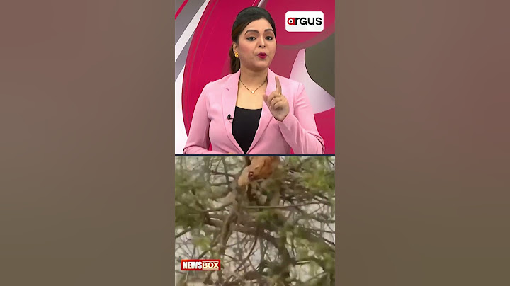 Watch! Monkey Escapes Tiger Hunt, Video Goes Viral