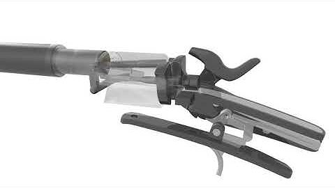 Werndl M1867/77 Rifle