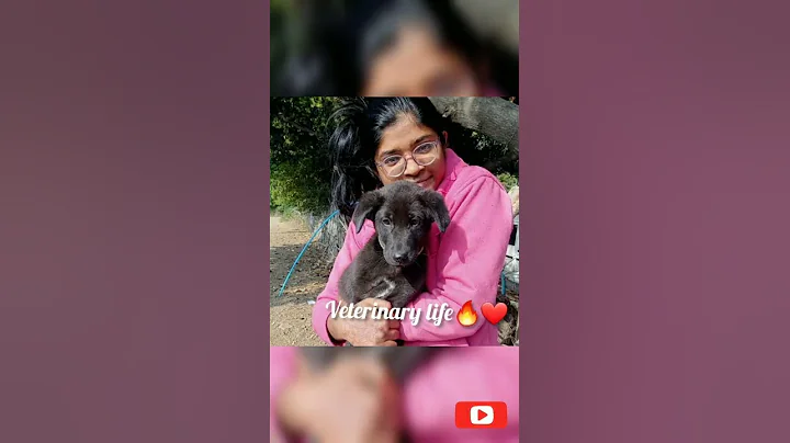 veterinary life 🔥👩‍⚕️🩺💉#vet student #vet life#vet dr.❤#veterinarian#vetvidya👩‍⚕️#ndvsu #trend#shorts