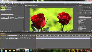 Adobe After Effects - Color Isolation