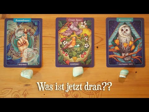 Was ist jetzt dran?| timeless