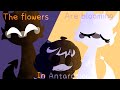 The Flowers Are Blooming In Antarctica | Animation meme