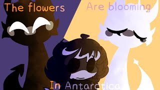 The Flowers Are Blooming In Antarctica | Animation meme