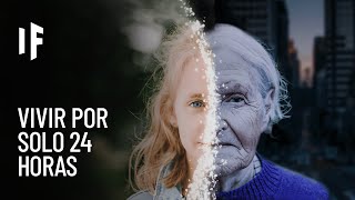 Thumbnail image for ¿Qué pasaría si solo vivieras durante 24 horas?