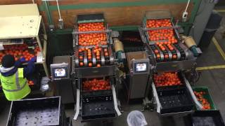 Valley Packline Solutions
